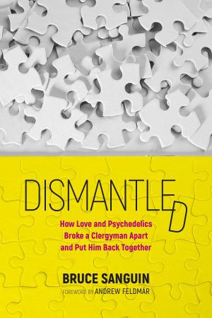 Cover of the book Dismantled by Rachel S. Rose