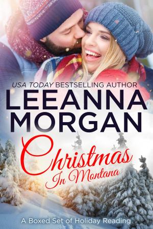 Cover of the book Christmas In Montana: A Boxed Set of Holiday Reading by Leeanna Morgan
