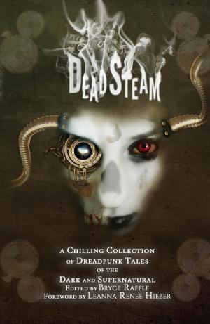 Cover of the book DeadSteam by Christine Lamer