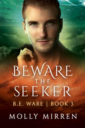 Cover of the book Beware the Seeker (B. E. Ware Book Three) by Josephine Sparks