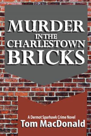 Book cover of Murder in the Charlestown Bricks