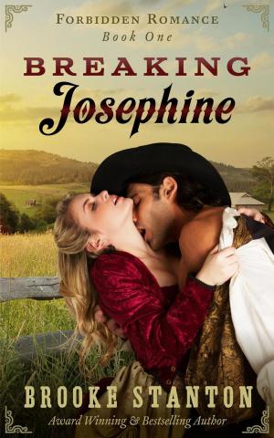 Book cover of Breaking Josephine