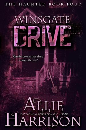 Cover of the book Winsgate Drive by Jarrett Rush