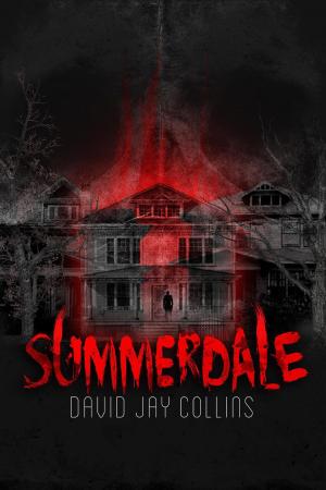 Book cover of Summerdale