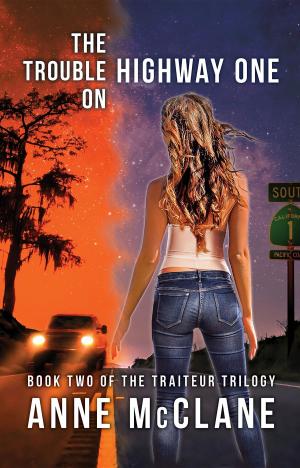 bigCover of the book The Trouble on Highway One by 