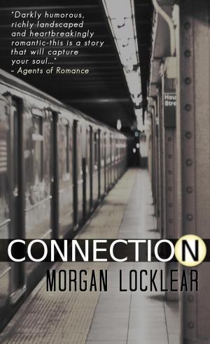 Cover of the book Connection by Decadent Kane