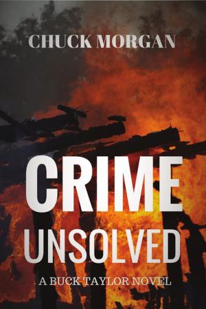 Cover of the book Crime Unsolved by Talia Carner
