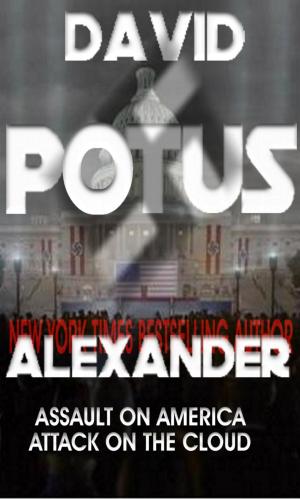 Cover of the book POTUS by Lisa Marbly-Warir