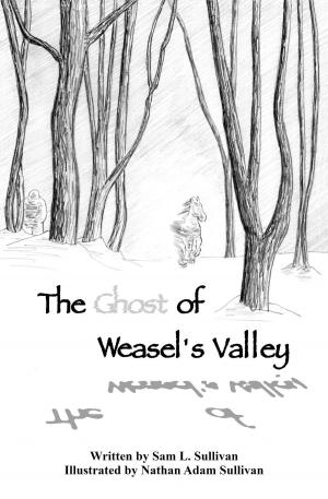 bigCover of the book The Ghost of Weasel's Valley by 