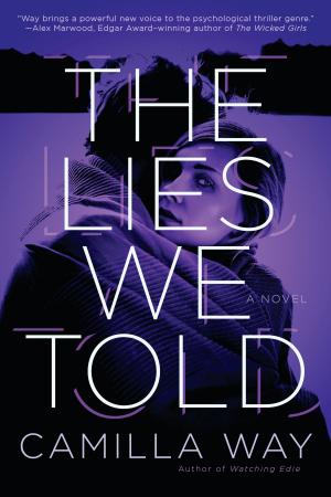 Cover of the book The Lies We Told by William Stobb