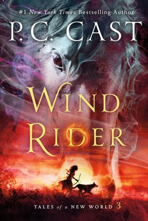 Cover of the book Wind Rider by Ellen Hart