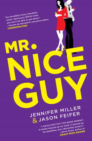 Cover of the book Mr. Nice Guy by Robert Christian Schmitte