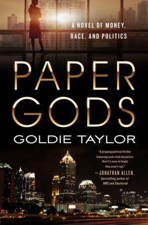 Cover of the book Paper Gods by Luca Olivieri, Eclypsed Word studio