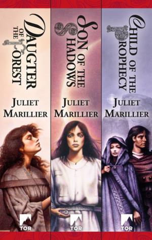 Book cover of The Sevenwaters Trilogy