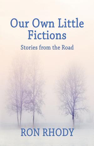 bigCover of the book Our Own Little Fictions: Stories from the Road by 