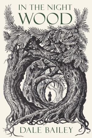 Cover of the book In the Night Wood by Stefano Lanciotti