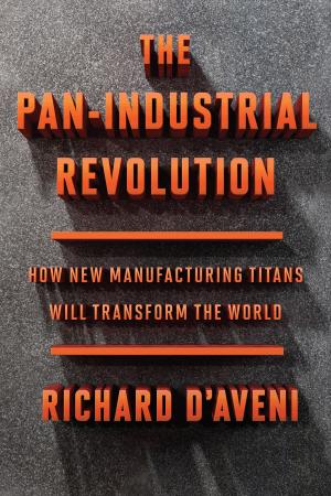 Book cover of The Pan-Industrial Revolution