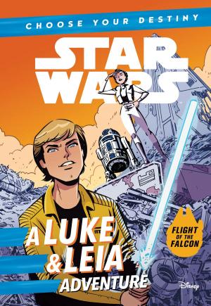 Cover of the book Star Wars: Choose Your Destiny: A Luke & Leia Adventure by Susan Ring