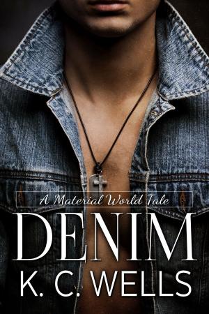 Cover of the book Denim (A Material World #4) by Lance Roddick
