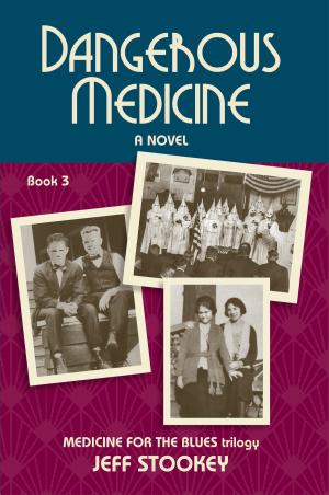 Cover of the book Dangerous Medicine by Rosie Palm