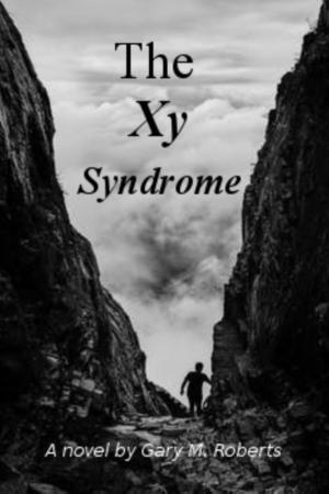 Cover of the book The Xy Syndrome by N.M. Sotzek