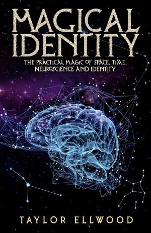 Cover of Magical Identity: The Practical Magic of Space, Time, Neuroscience and Identity