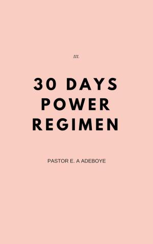 Cover of the book 30 Days Power Regimen by Lillian Ann Penner