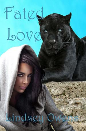 Cover of the book Fated Love by Lindsey Owens