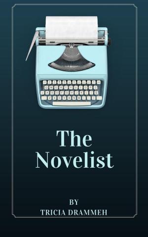 Cover of the book The Novelist by Robert Boswell