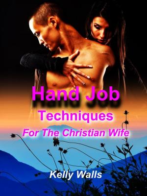 Book cover of Hand Job Techniques For A Christian Wife