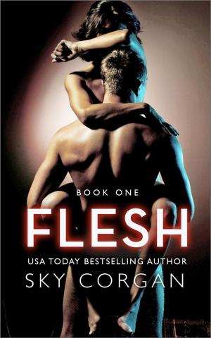 Cover of the book Flesh by Sky Corgan