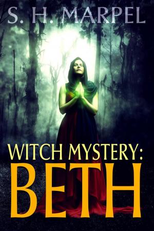Cover of the book Witch Mystery: Beth by Aria Chase