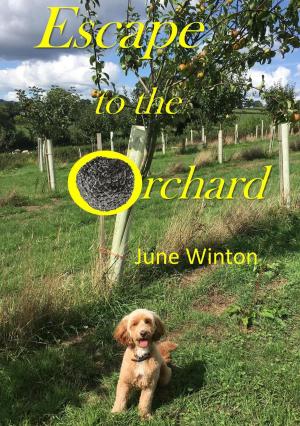 Cover of the book Escape to the Orchard by Lauren Kutterfly