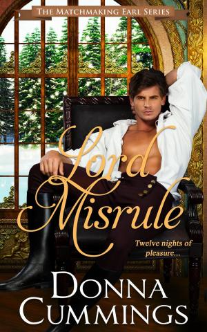 Cover of the book Lord Misrule by Katharina Groth