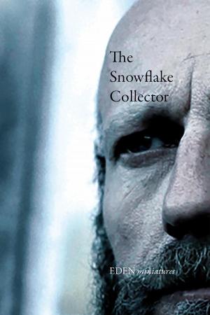 Cover of the book The Snowflake Collector by Lee Edward McIlmoyle