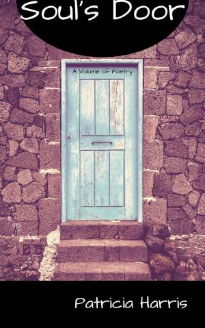 Cover of Soul's Door