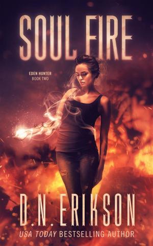 bigCover of the book Soul Fire by 