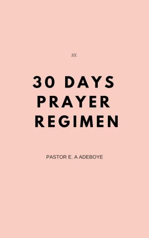 Cover of the book 30 Days Prayer Regimen by Terry Webb