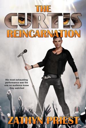 Cover of the book The Curtis Reincarnation by K.M. Frontain