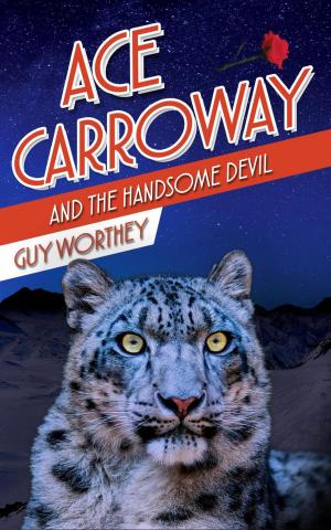 Book cover of Ace Carroway and the Handsome Devil