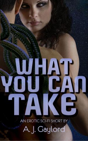 Book cover of What You Can Take: An Erotic Science Fiction Short Story