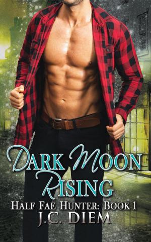 Cover of the book Dark Moon Rising by Barbara McMahon
