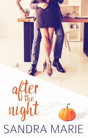Book cover of After the Night