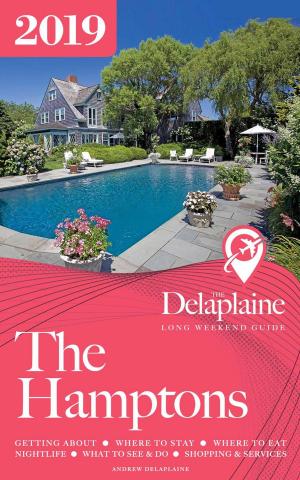 Book cover of The Hamptons - The Delaplaine 2019 Long Weekend Guide