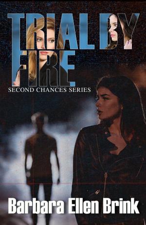 Cover of the book Trial By Fire by Meredith Spies