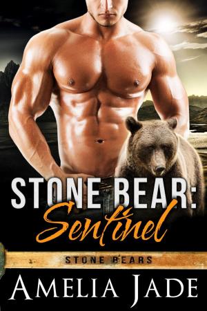 Cover of the book Stone Bear: Sentinel by Cera D. Colby