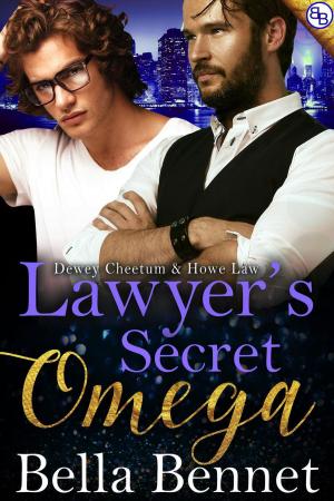 Cover of the book Lawyer's Secret Omega by J Rocci