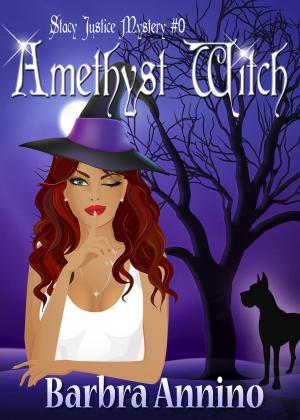 Cover of the book Amethyst Witch by Chuck Williams