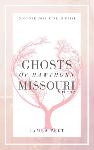 Cover of the book The Ghosts of Hawthorn Missouri: Part One by Lori Hart Beninger
