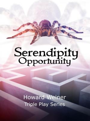 Cover of the book Serendipity Opportunity by Stone Prisms Media